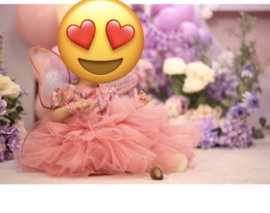 Picture of Beautiful Pink Fairy Princess Tutu Dress with Wings