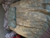 Picture of Premium kanchi tissue lehanga with Swaroski stone work 5-6Y