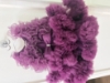 Picture of Two ruffled Party wear frocks for 1Y-1.5Y
